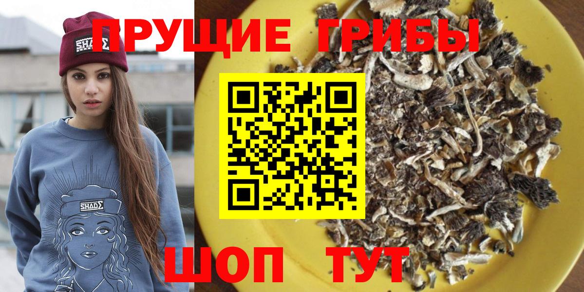 Галлюциногенные грибы Magic Shrooms Новоалтайск